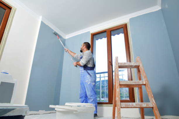 Best Emergency Mold Remediation  in Fairfield, OH