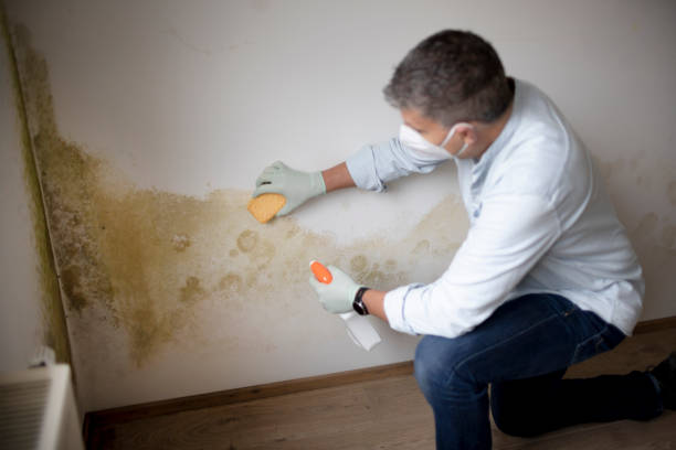 Best Mold-Related Health Consultation  in Fairfield, OH