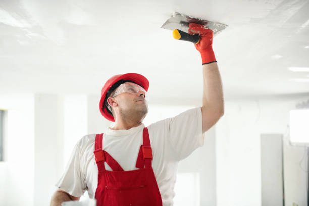 Best Biohazard Mold Removal  in Fairfield, OH