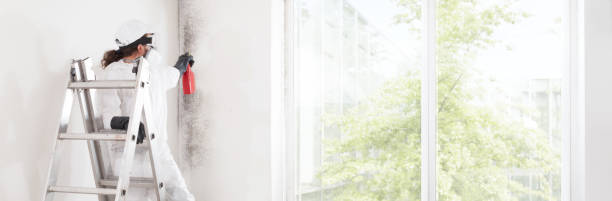 Best Air Quality Testing for Mold Spores  in Fairfield, OH