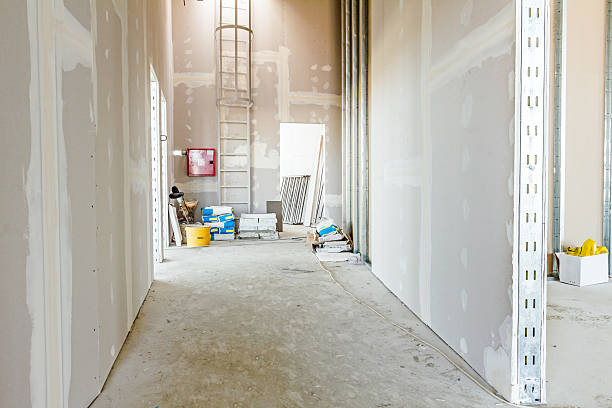 Forensic Mold Investigation in Fairfield, OH