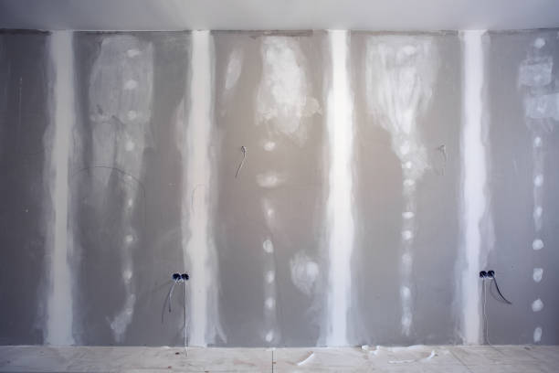 Best Commercial Mold Inspection  in Fairfield, OH